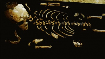 Ученые рассказали о внешности неандертальцев