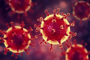 Возраст не влияет на вероятность заражения коронавирусом, - ученые