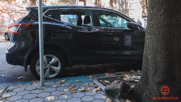 В центре Днепра на Nissan упала тяжелая ветка, повредив авто