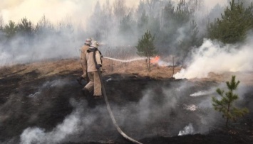 Пожары на Житомирщине: люди, которые потеряли жилье, получат по 300 тысяч