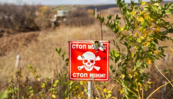 На Донбассе разминировали 35 тысяч гектаров земли - Наев