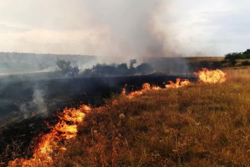 Под Кривым Рогом пожарные в течение дня ликвидировали два пожара в экосистемах