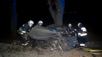 Трагедия на трассе: между Днепром и Кривым Рогом разбился автомобиль. Водитель погиб