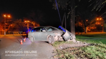 В Кривом Роге автомобиль Toyota на еврономерах снес электроопору, водитель исчез