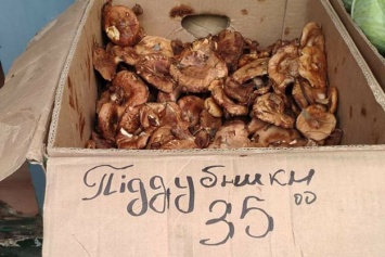 В Броварах продают ядовитые грибы