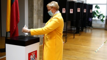 В Литве на парламентских выборах победили консерваторы