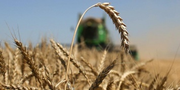 Мировые цены на российскую пшеницу обновили рекорды