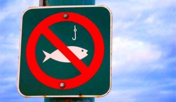 В Запорожской области введут запрет на лов рыбы на зимовальных ямах