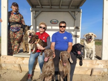 В пгт Заозерное собаки-спасатели отрабатывали навыки поиска