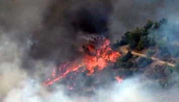 На юге Турции горит лес, людей эвакуируют