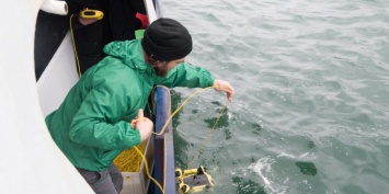 Greenpeace: в Кроноцком заливе на Камчатке аномалий не найдено