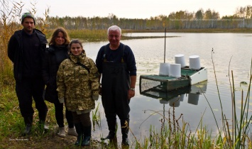 В Чернобыльском заповеднике исследовали организмы рыб, живущих при разном уровне радиации