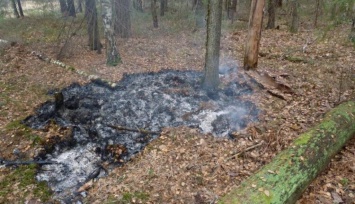 В Запорожской области заживо сожгли мужчину