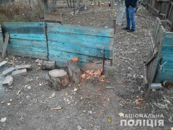 Под Харьковом 9-летнему мальчику в результате взрыва оторвало правую кисть, - ФОТО