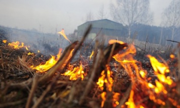 На востоке Украины сегодня ожидается чрезвычайный уровень пожарной опасности, - ГосЧС
