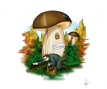 Отправляясь по грибы, одевайтесь ярко: советы от известного поисковика Днепропетровщины