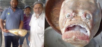 Рыбу с человеческим лицом поймали в Таиланде (ФОТО)