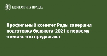 Профильный комитет Рады завершил подготовку бюджета-2021 к первому чтению: что предлагают