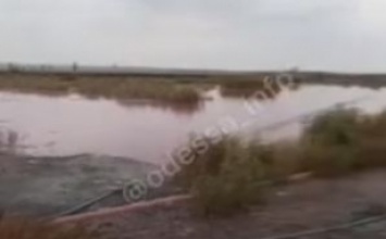 Под Николаевом вода в реке стала кровавого цвета, стоит жуткая вонь: видео экокатастрофы