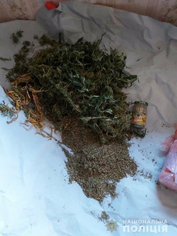 На Харьковщине полицейские разоблачили двух мужчин, хранивших дома каннабис и опий, - ФОТО