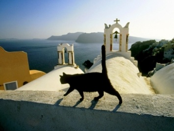 Как в Греции сглаз лечат, и какой срок светит за кражу кота - рассказ мелитопольца