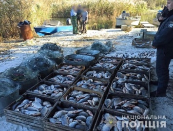 На Херсонщине поймали браконьеров, которые выловили более 700 кг рыбы (фото)
