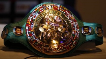 WBC хочет назвать новую категорию до 101,6 кг весом «Бриджера»