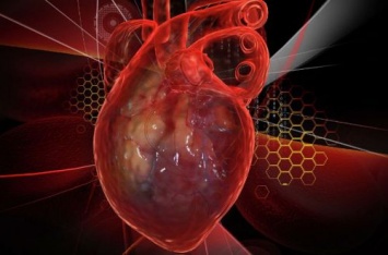 Как избежать сердечных заболеваний: главные заповеди здорового сердца