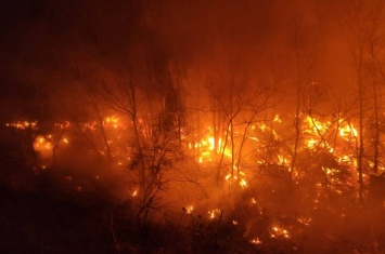 На Луганщине произошел пожар