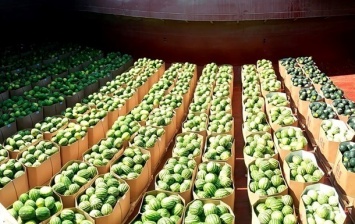 Украина установила рекорд по экспорту арбузов и дынь