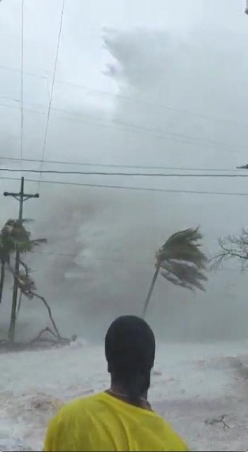 Ураган "Йота" обрушился на Центральную Америку и США, есть погибшие. Фото и видео