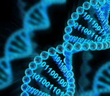 Western Digital и Microsoft будут развивать системы хранения данных на ДНК