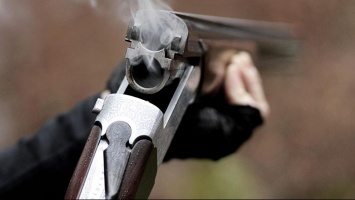 В Запорожской области в мужчину выстрелили из охотничьего ружья - полиция ищет свидетелей