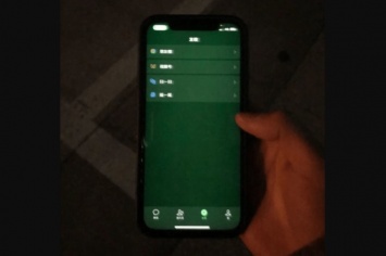 Владельцы iPhone 12 столкнулись с проблемой «зеленого экрана». Apple надеется все исправить программно