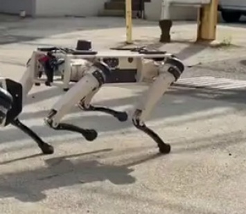 В армии США для патрулирования режимных объектов используют роботов-собак
