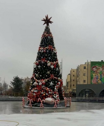 В Киеве установили первую новогоднюю елку, ФОТО