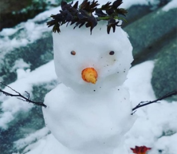 Пока все не растаяло: после первых снегопадов украинцы делятся снимками забавных снеговиков