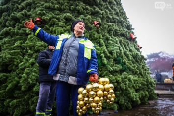 Запорожские коммунальщики установят новогоднюю елку на площади Маяковского смонтируют гирлянды напротив мэрии