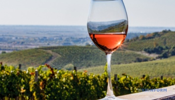 Для туристов-ценителей вина создали новый трансграничный маршрут