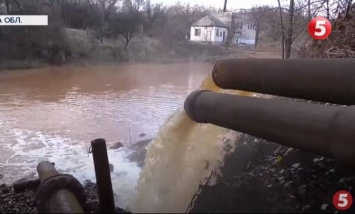 В Луганской области река Комышеваха превращается в болото (видео)