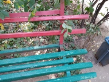В Мелитополе коммунальщики неудачно выполнили работы по обрезке деревьев (фото)