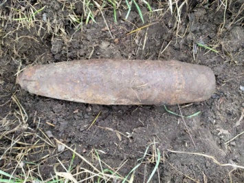 В поле под Кривым Рогом поисковики- историки обнаружили устаревший боеприпас