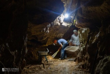 Древний хорек и карликовый бобер: чьи еще останки нашли в пещере «Таврида»