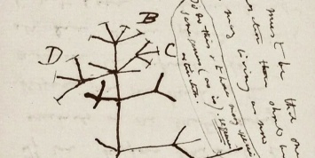 Из Кембриджа исчезли дневники Чарльза Дарвина. Ученые не исключают, что их могли украсть