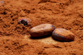 Ученые рассказали о полезном свойстве какао
