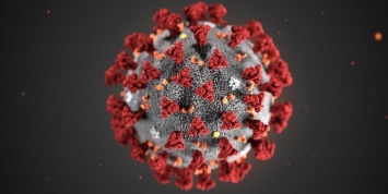 Мутации не сделали коронавирус более заразным