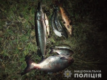 В зоне отчуждения полиция поймала рыбака, который ловил рыбу в Припяти