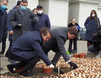 Нидерланды подарили Киеву 100 тысяч тюльпанов. Их высадили в центре как символ уважения нидерландцев к Небесной сотне