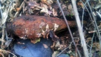 Опасная находка: в Павлограде мужчина во время прогулки нашел минометную мину