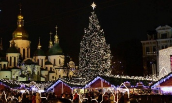 Гослесагентство назвало цены на новогодние елки для украинцев